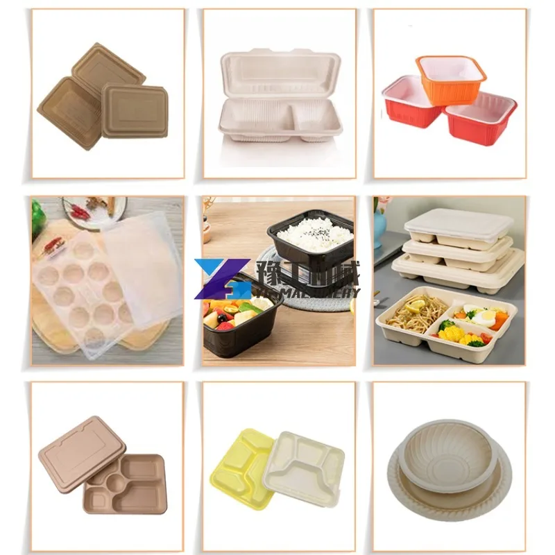 Disposable Biodegradable Sugarcane Bagasse Paper Tableware Making Machine Pulp Molding Machine Box Making Thermoforming