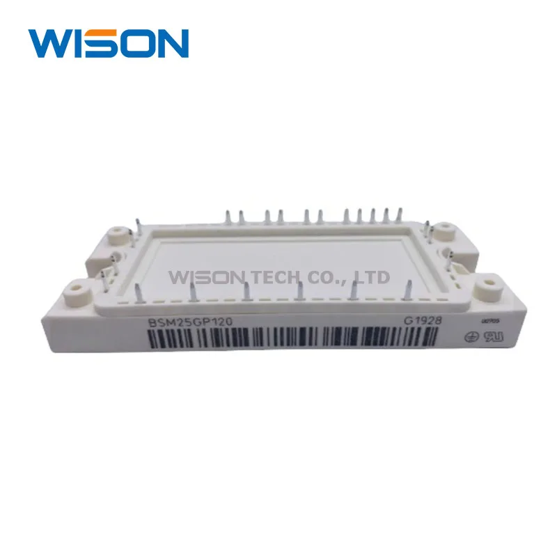 BSM10GP60 15GP60 BSM20GP60 30GP60 BSM50GP60 BSM50GP120 BSM25GP120 BSM35GP120 BSM75GP60 BSM100GP60 BSM15GP120 وحدة
