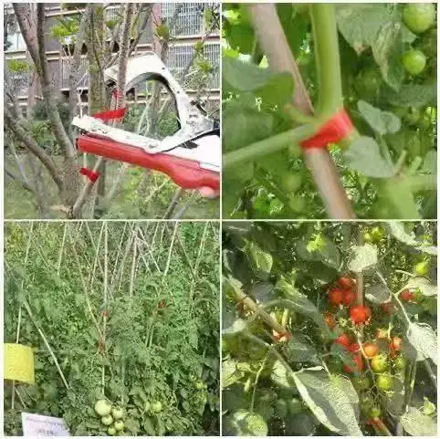 ZC1-Garden Strapping Machine คู่มือโรงงานเครื่องกระชับสาขา Garden Art เครื่องมือ