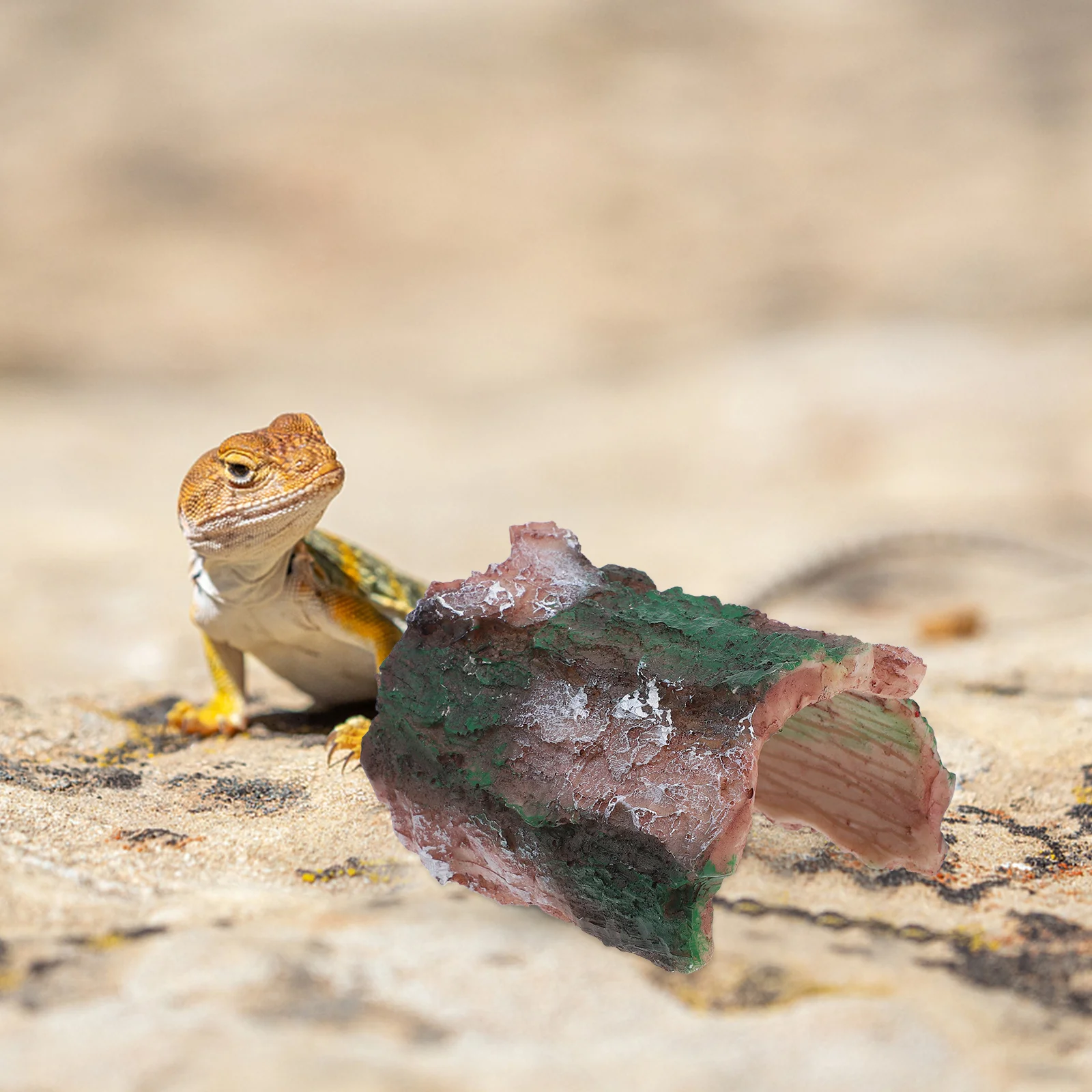 

Aquarium Tree Hole Decor Fish Cave Shelter for Freshwater Saltwater Tanks Realistic Resin Hiding Spot for Fish Shrimp Small