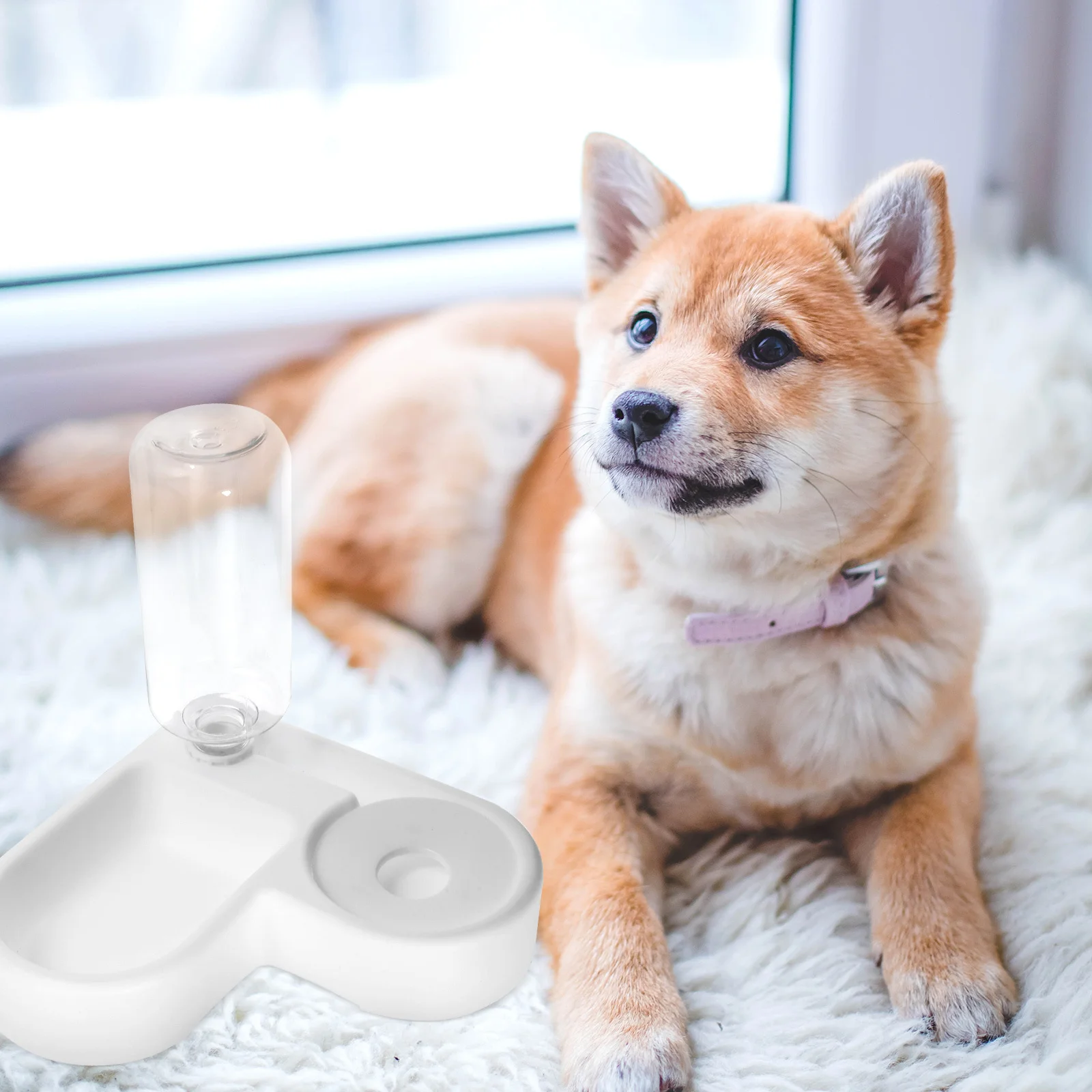 

Minimalist Pet Food Water Feeder For Cat Dog Automatic Feeding Bowl Spill Proof Durable Safe Material Multi Function