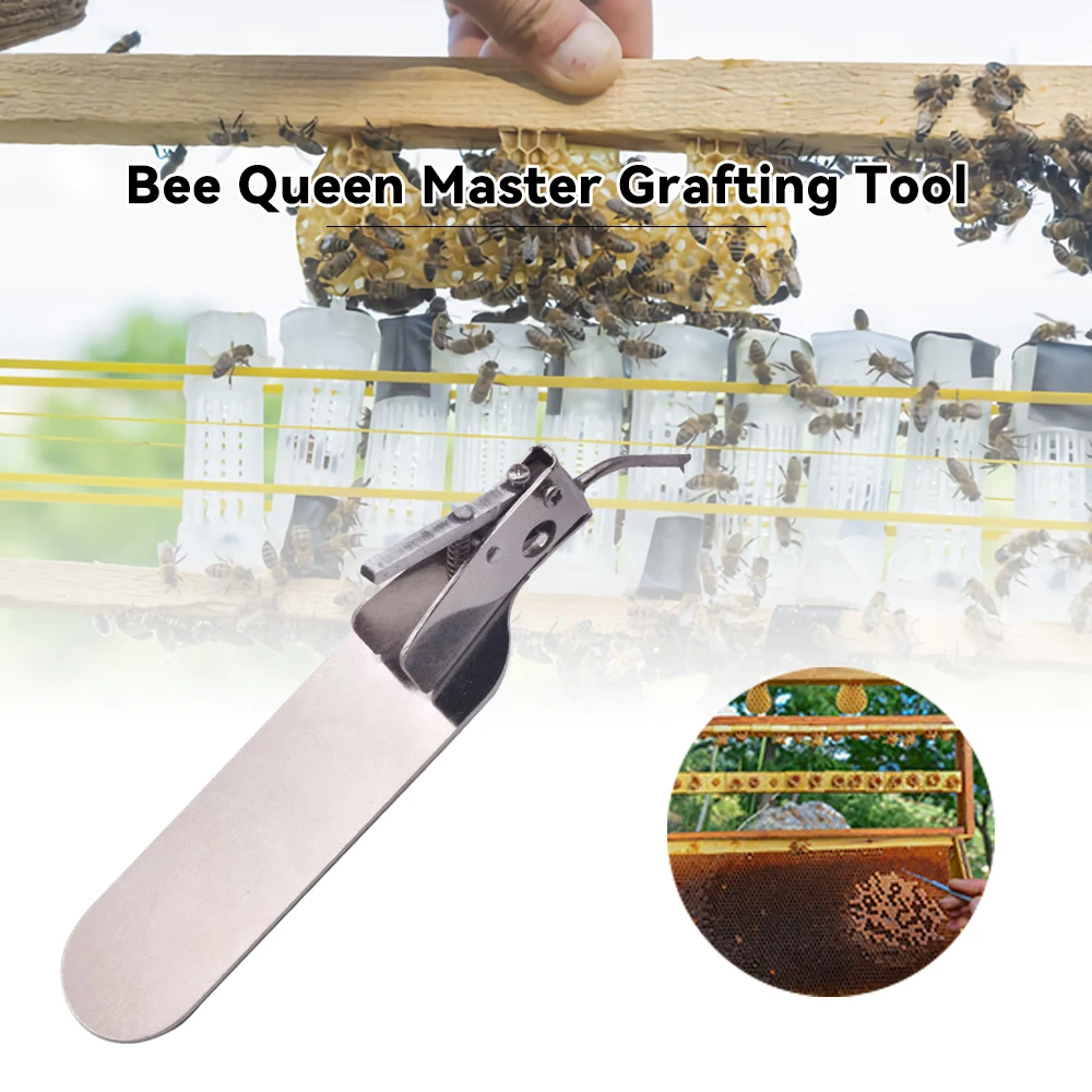 Bee Queen Master Grafting Tool With Spare Tongue Rearing Kit Beekeeping Goods Tools For Beekeeper Supplies