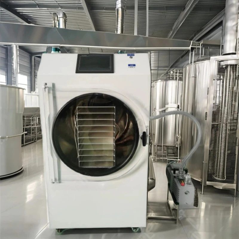 10Kg Stainless Steel Machine Home Use Dryer Coffee Powder Vacuum Freeze Drying Equipment
