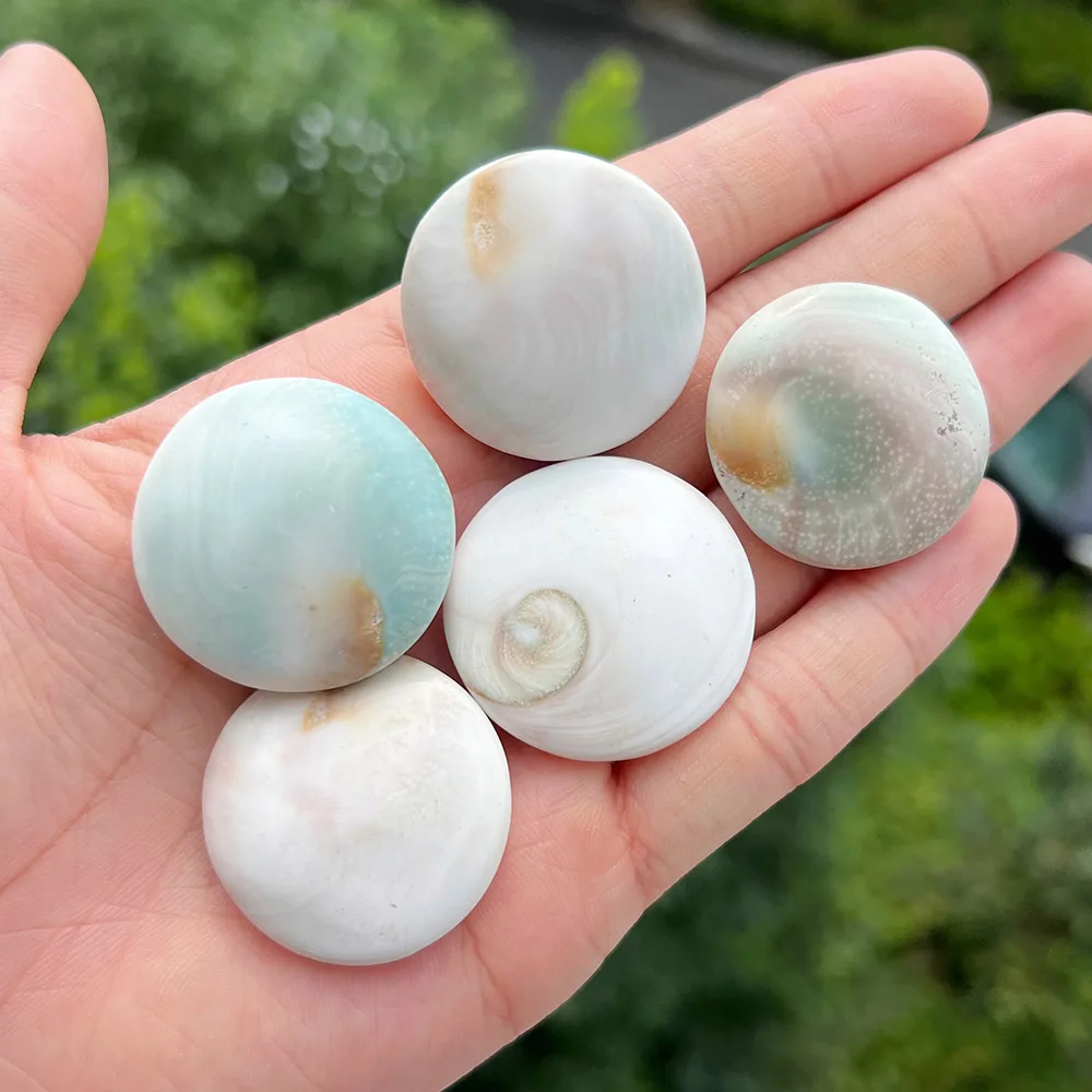 الكريستال الطبيعي قذيفة الشمس لديي الهدايا ، الشمس شفاء العين ، الريكي ، الأحجار الكريمة الحرف ، سبيسيمان ، الحب الحجر ، حجر مستدير ، ديكور المنزل #4