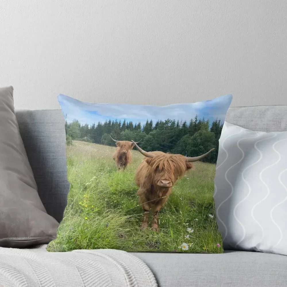 

Scottish Highland Cattle Cows 4005 Throw Pillow Christmas Pillows Cushion Cover Set Christmas s Covers pillow