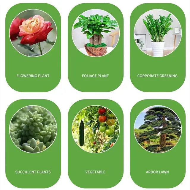 200 جرام حديقة الأسمدة القابلة للذوبان في الماء للنباتات الزهور بونساي عصاري 20-20-20 + te Npk سماد مركب مع عنصر أثر