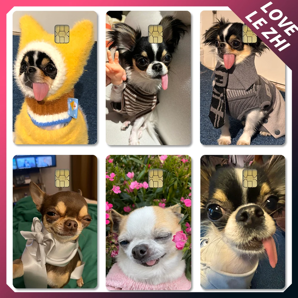 

Cute Pet Dog Chihuahua Pvc Film Animal Skin Sticker for Debit Card Credit Bank Card Waterproof Stickers Toys for Small Chip