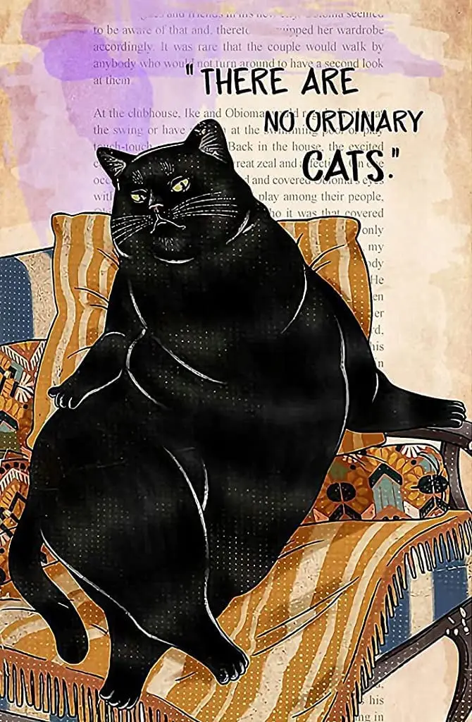 Retro Metal Aluminium Tin Sign There Are No Ordinary Cats Vintage Wall Poster Metal Plaque, Black cat, Fat cat,Cat wall