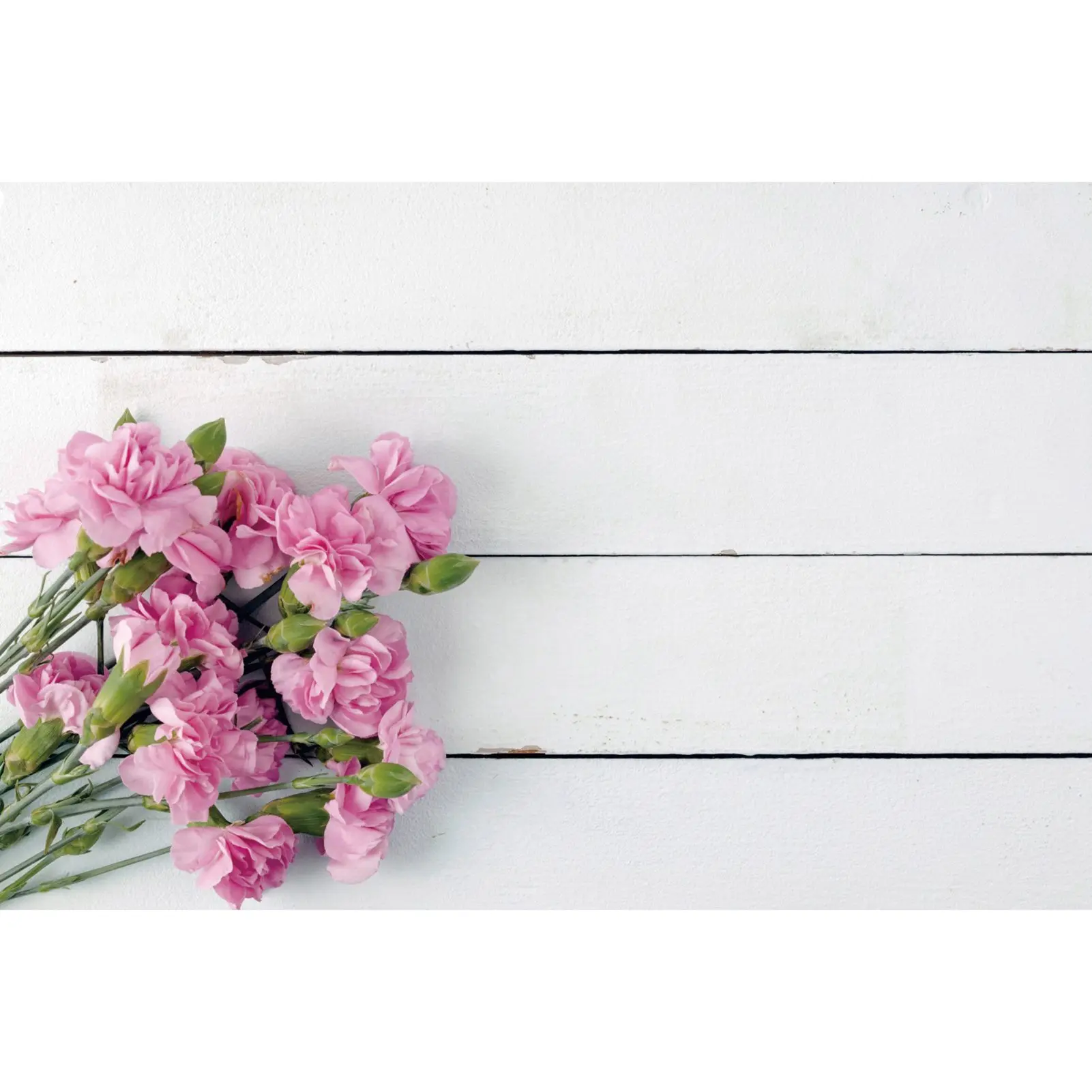 Frühling rote Blumenstrauß Kulissen Fotografie weiße Holzbrett Planken maßge schneiderte Kinder Photo booth Foto Hintergründe