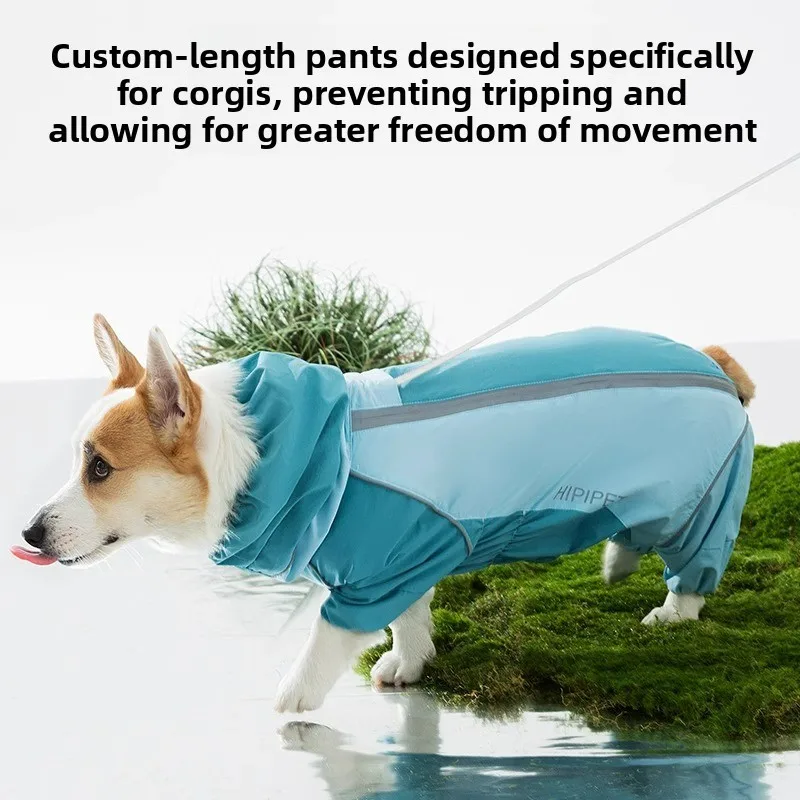 2026 Full Coverage Waterproof Dog Raincoat For Corgi Dachshund Small Medium Dogs Outdoor Wear