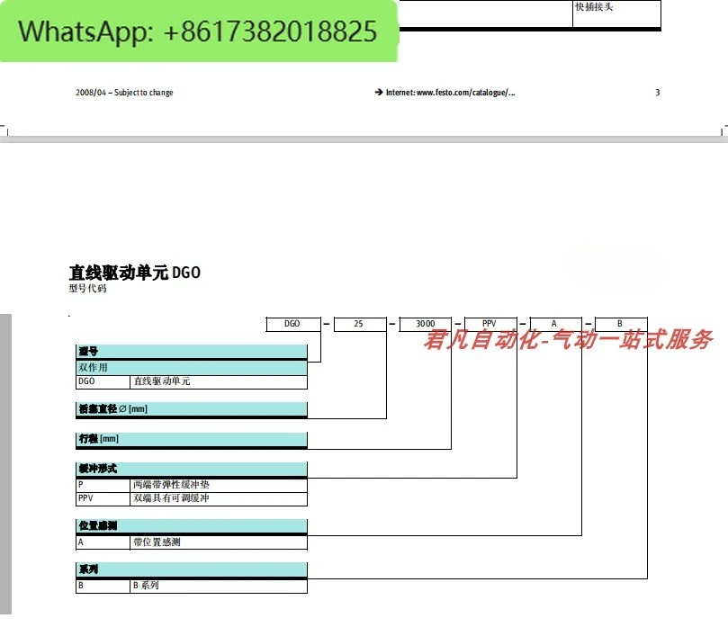 اسطوانة بدون قضيب DGO-25-100-200-300-350-400-500-600-900-PPV-A-B #4