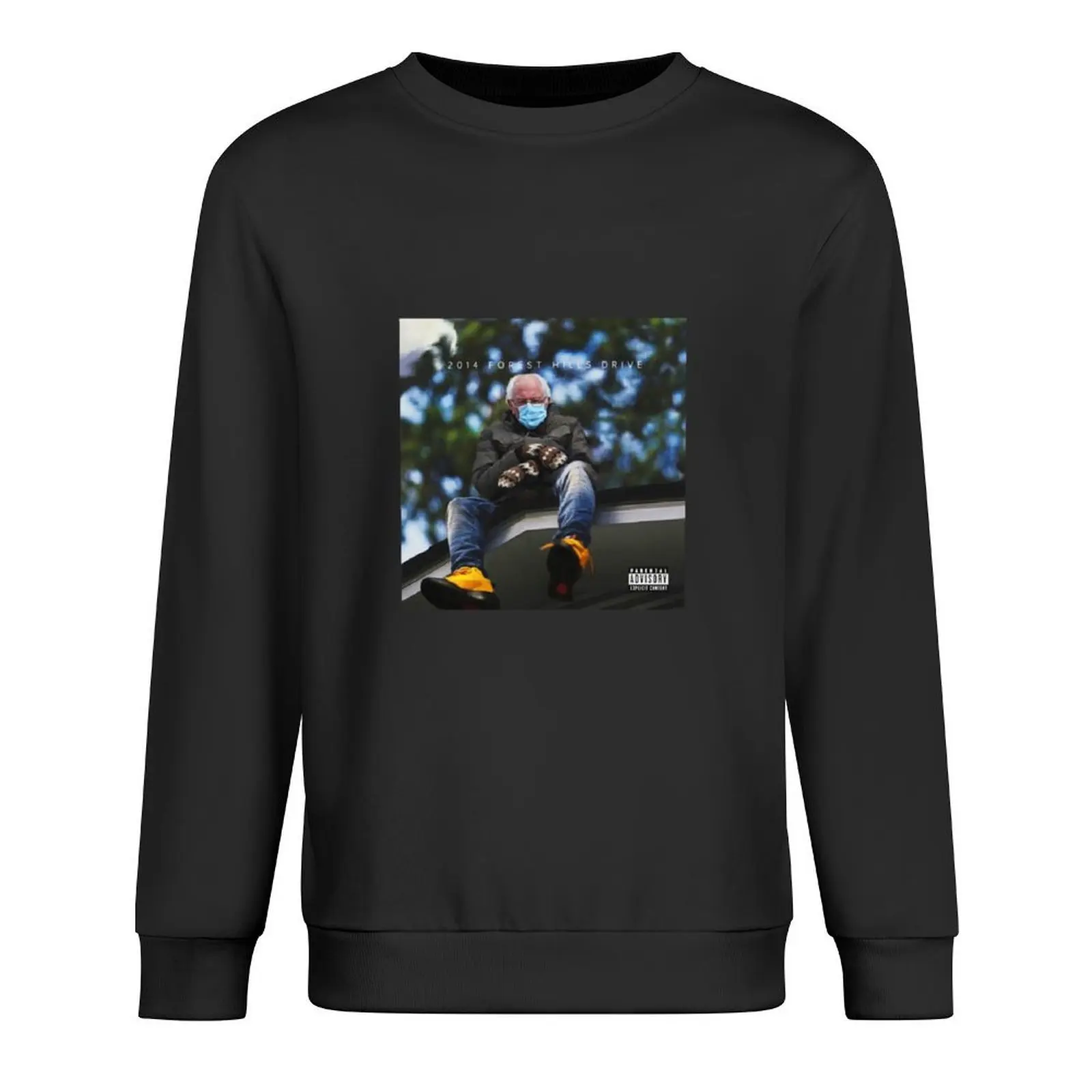 

Bernie Sanders Forest Hills Drive J cole Pullover aesthetic clothing tracksuits autumn jacket men blouse autumn sweatshirt