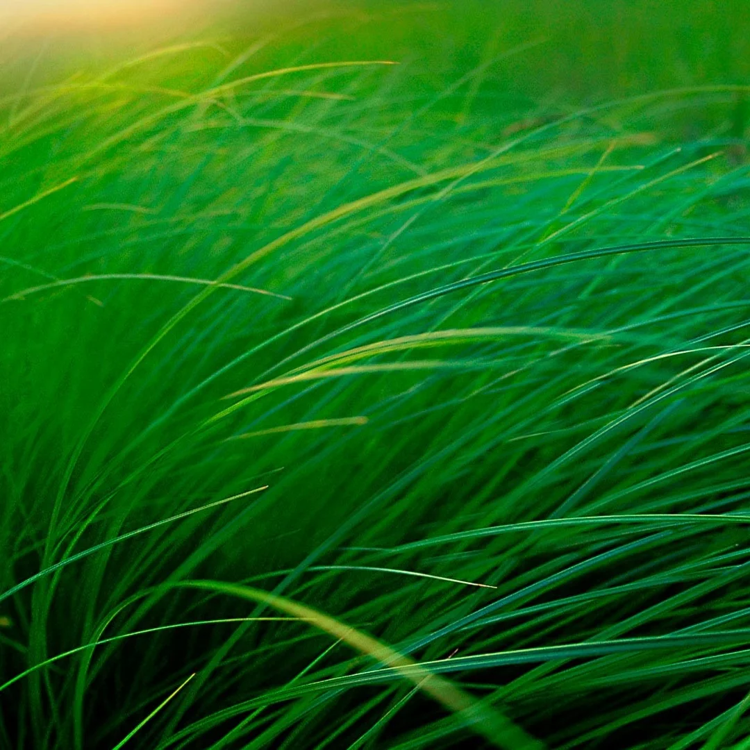 

16.8 In Qualcomm AI Voice Control Screen Android Auto Car Radio Receiver For Ford Raptor F150 2015~2021 GPS Navigation Stereo