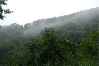 GEPRC Naked Camera GP11 Full Action Camera GP9/GP10/GP11 Ultimate Fpv 4K 5K Suitable for CineLog 35 Cinebot MAKE5 RC FPV Drones