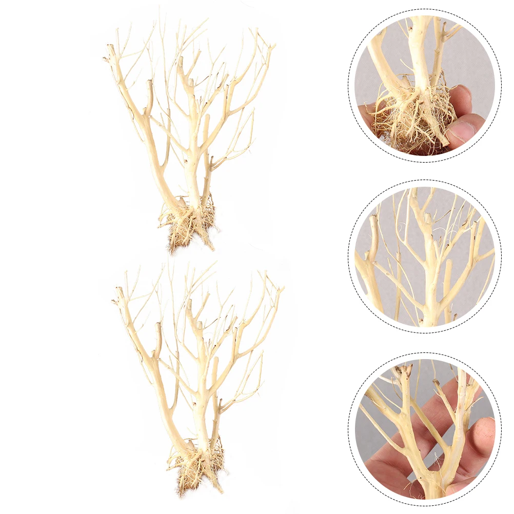 

2pcs Moss Tree Decorative Twigs Aquarium Fish Tank Landscape Adornment Creative Small Branch Accessory No Fading Hard Texture
