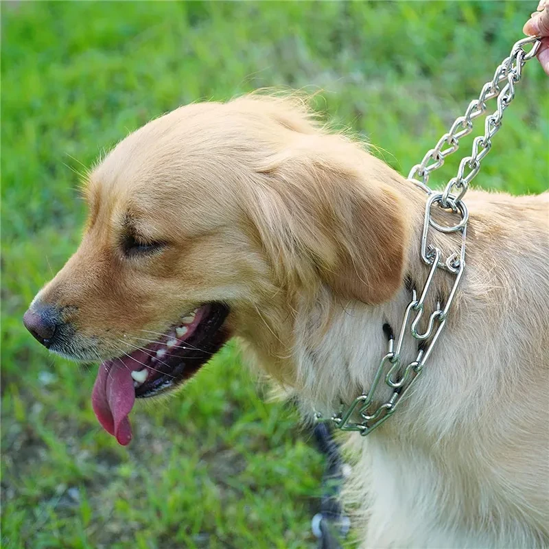 Catene da addestramento per cani di alta qualità Barre a catena in ferro per collare a catena regolabile con punte per cani