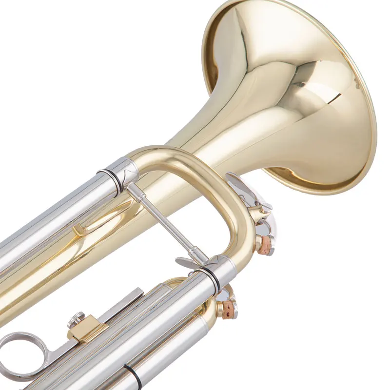 Good Quality TAISHAN TSTR-803 Beginner-Friendly Gold Lacquer Finish Brass Body BB Trumpet China