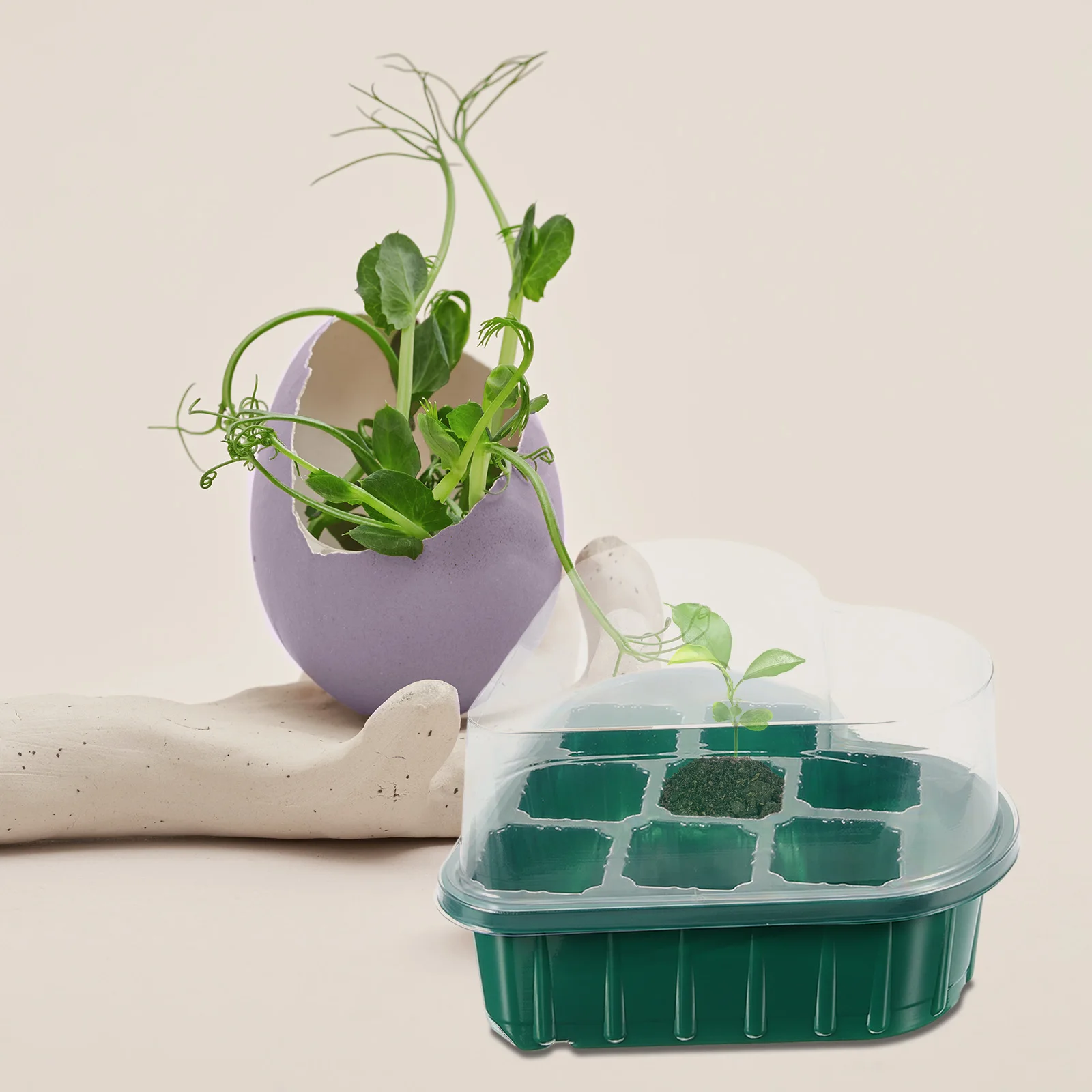 

Plants Germination Starter Cups Nursery Box Set Tray Vegetable Growing Trays Planter Indoor