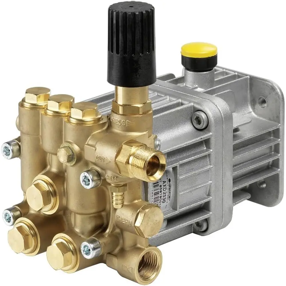 

High-Pressure Direct Drive Gas Washer Pump - 2700 PSI, 2.5 GPM, Model AXD2530