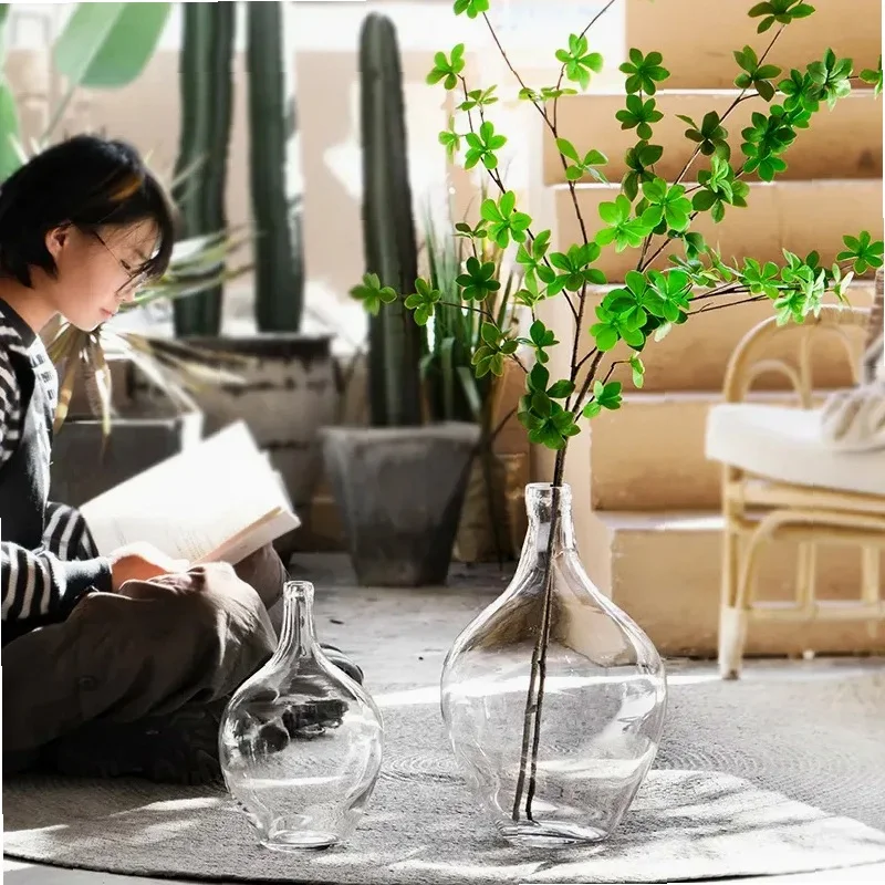Japanese Style Big Belly Clear Glass Vase Living Room Decoration Simple Ins Home Room Decoration