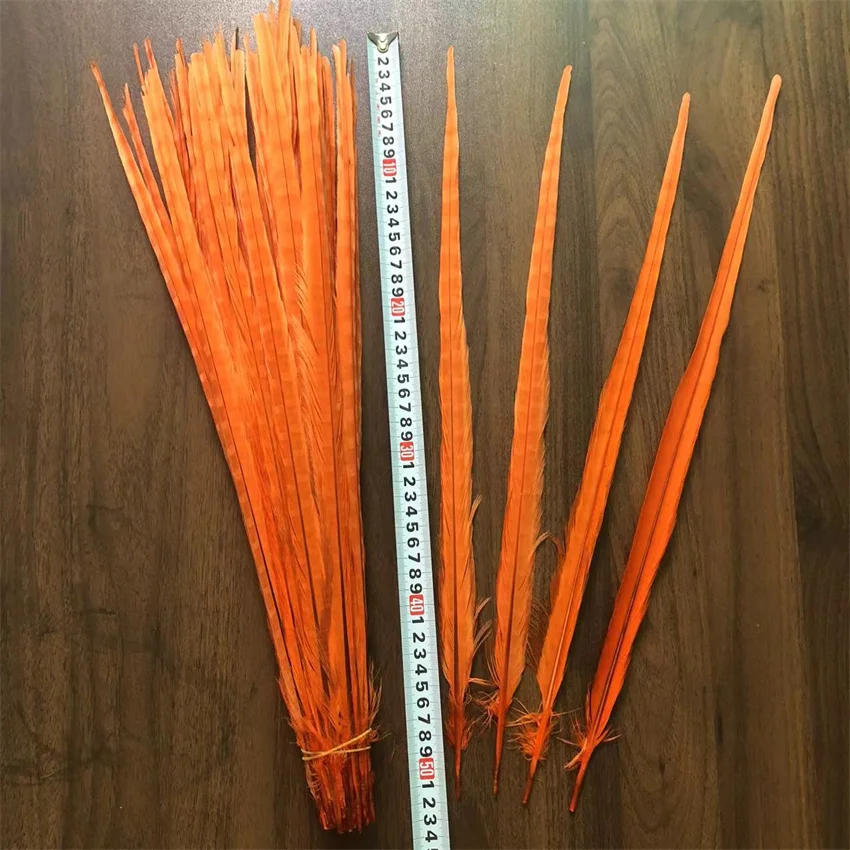 10pcs Orange Chicken feathers Natural Pheasant Tail Feathers 50-55 cm 20-22\