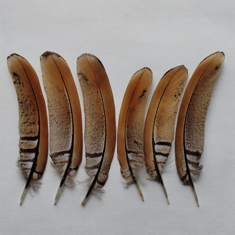 

30Pcs/Lot 10-14cm long Reeves Pheasant Tail Feathers Wholesale Loose Natural Tail Feathers for elegant festivity