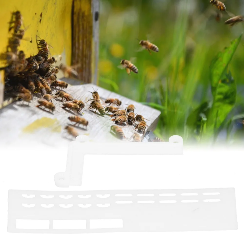 40 Sets Plastic Bee Anti Escape Tool Durable White Beehive Entrance Baffle Lightweight Beehive Entrance Queen Excluder Apiary