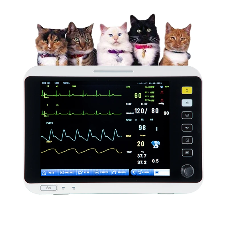 

Multiparameter Monitor Veterinary vet Blood Pressure Monitor Pets Pet Health Monitor