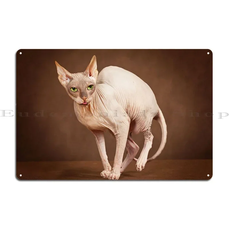 Sphynx Hairless Cat Metal Sign Create Create Plaques Plaques Home Tin Sign Poster