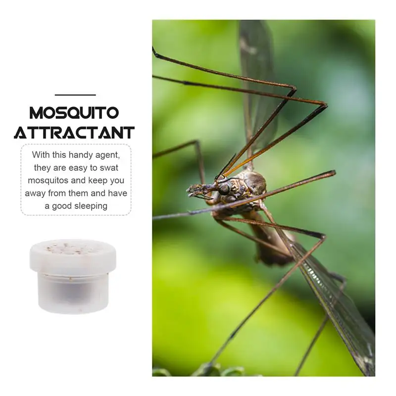 6Pcs Mosquito Lure Agent Trap Mosquito Lamp Parts Effective Mosquito Removal Tool Home Dorm mosquito repellent (with Small Box)