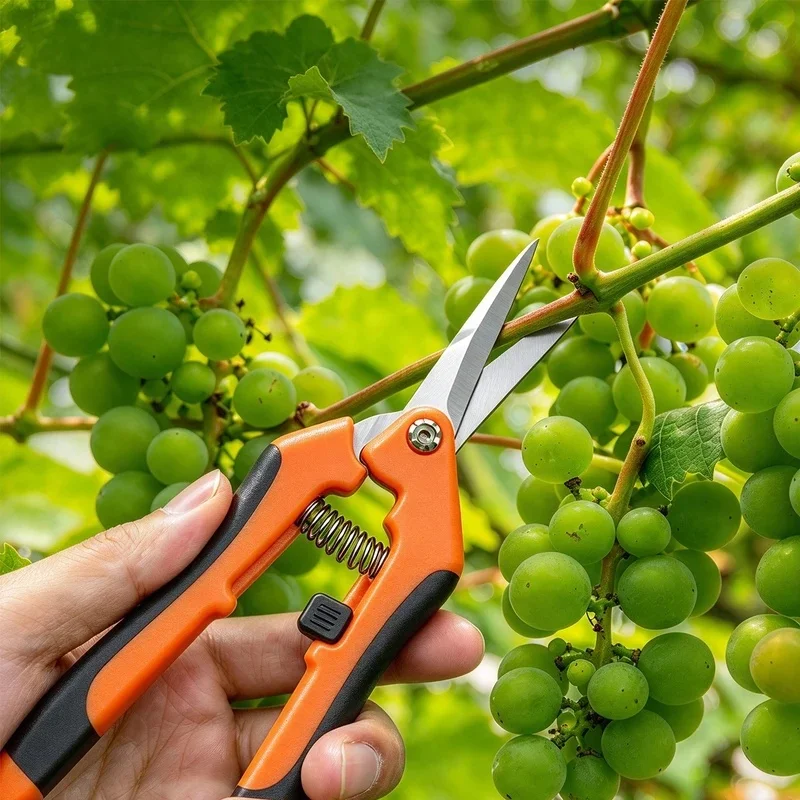 Manual Pruning Bonsai Scissors Tool Hand Tools Pruner Garden Specialty Gardening Shears Trimmer Trees Secateur Secateurs Pruners