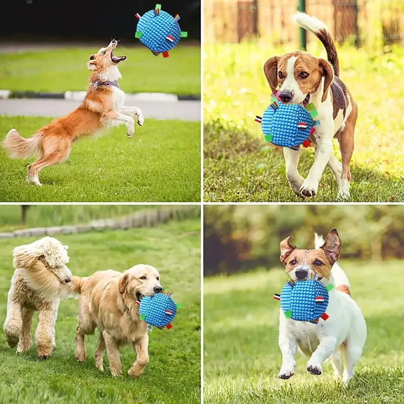 Thumbnail 4 - #14 Compare Puppy Fetch Toys Before You Buy