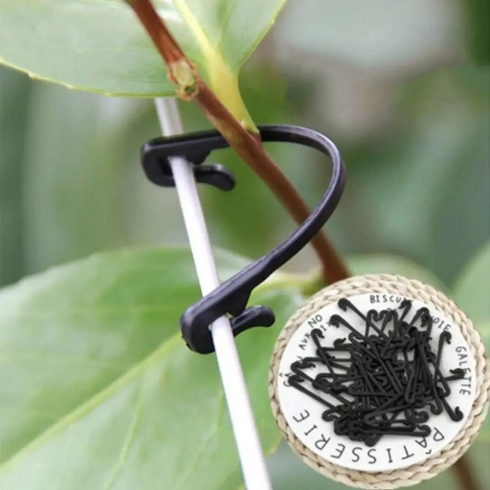 Fixing Ring Plant Vegetable Grafting Clips Grape Tool Garden Plants Buckle Vegetable Strapping Clips Vines Fasteners
