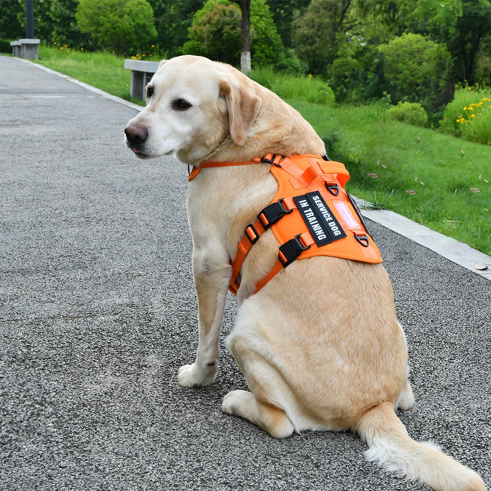 Service-Hundeweste, kein ziehendes Hundegeschirr mit 4 Hundeflicken, reflektierendes Haustiergeschirr mit langlebigem, weich gepolstertem Griff für das Training Med – Detail 11