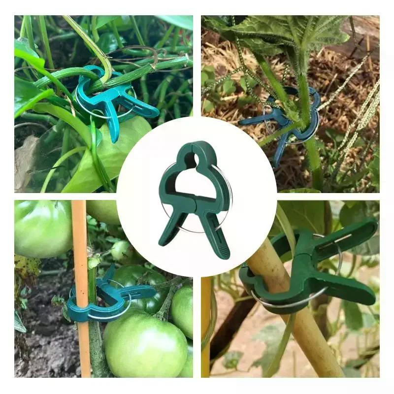 Plant Fixed Clips Reusable Garden Greenhouse Bracket Garden Plants Vine Climbing Clamp Flower Tomato Support Fastener