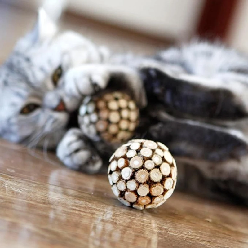 Silvervine Ball und Silvervine Stick Kau-Kombi: Neue Katzenspielzeuge zur Zahnreinigung, entfernen Zahnstein, frischer Atem für Katzen und Kätzchen, Zahnpflegeprodukte – Detail 4