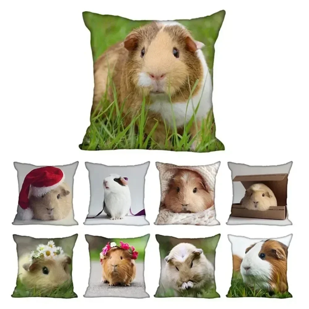 Living Room Pillowcase Guinea Pig   Modern Home