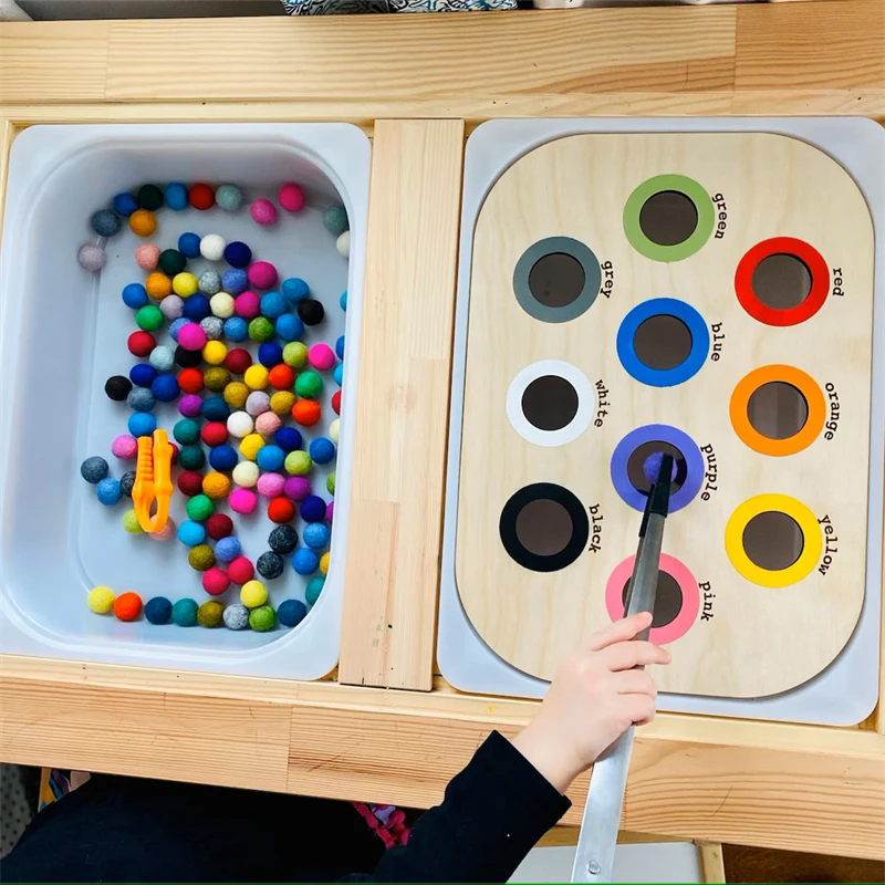 Flisat-insertos de mesa para actividades sensoriales, insertos de Color de ciclo de vida, tablero de oruga de abeja, juguetes educativos Montessori