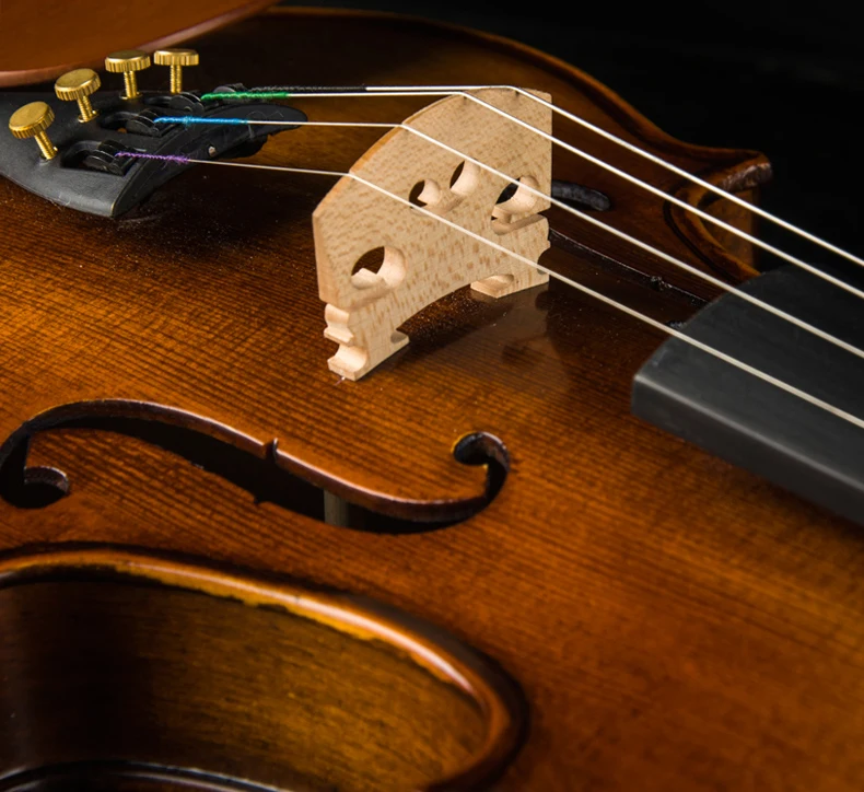 Christina V02 Violin glossy 4/4 3/4 1/2 1/4 Italian Retro Beginner children\'s solid wood Handmade Violino Stringed instrument