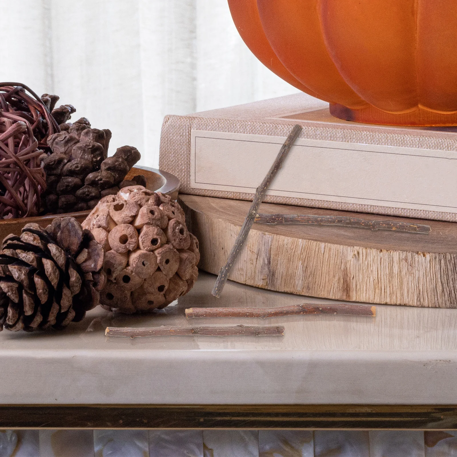 

40Pcs Craft Wood Sticks Natural Long Sticks for DIY Projects Activities Home Decor Dry Branches Ornament Set