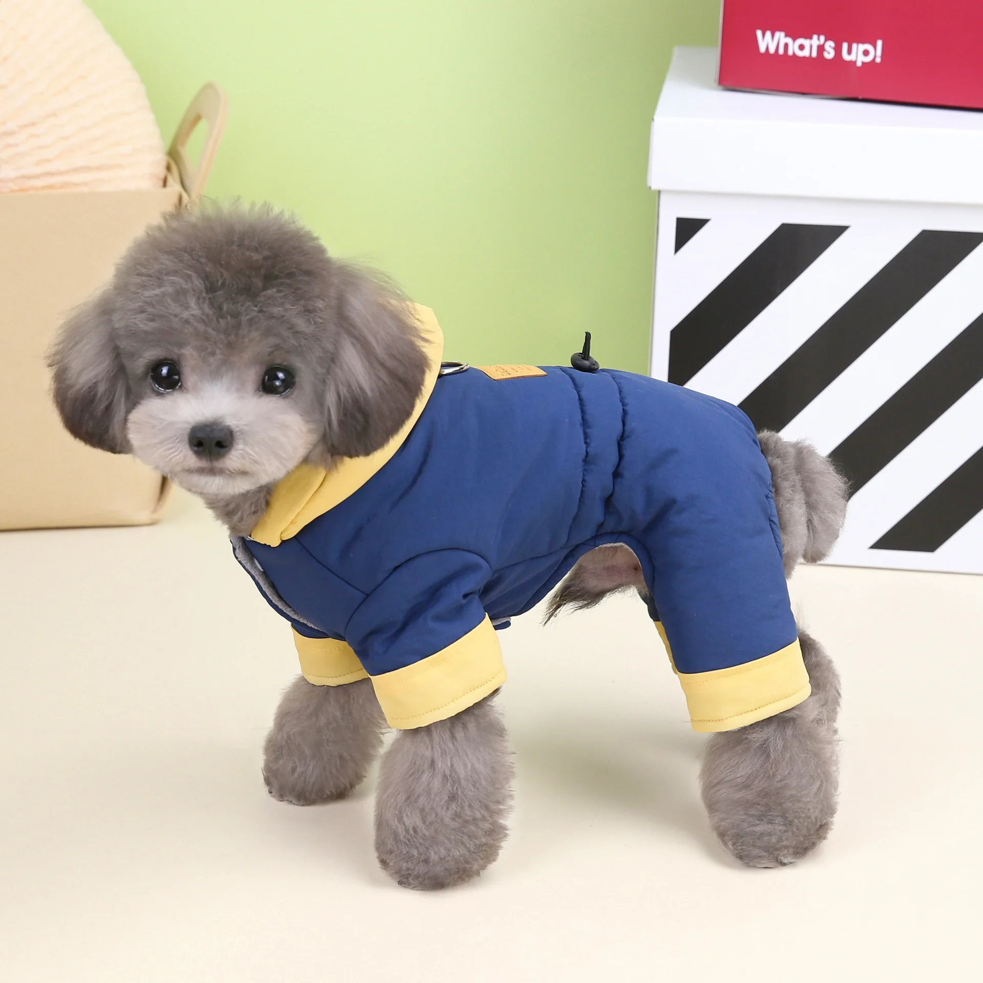 Korean four-legged cotton coat thickened pet clothes dog clothing autumn and winter padded warm dog clothes four-legged new