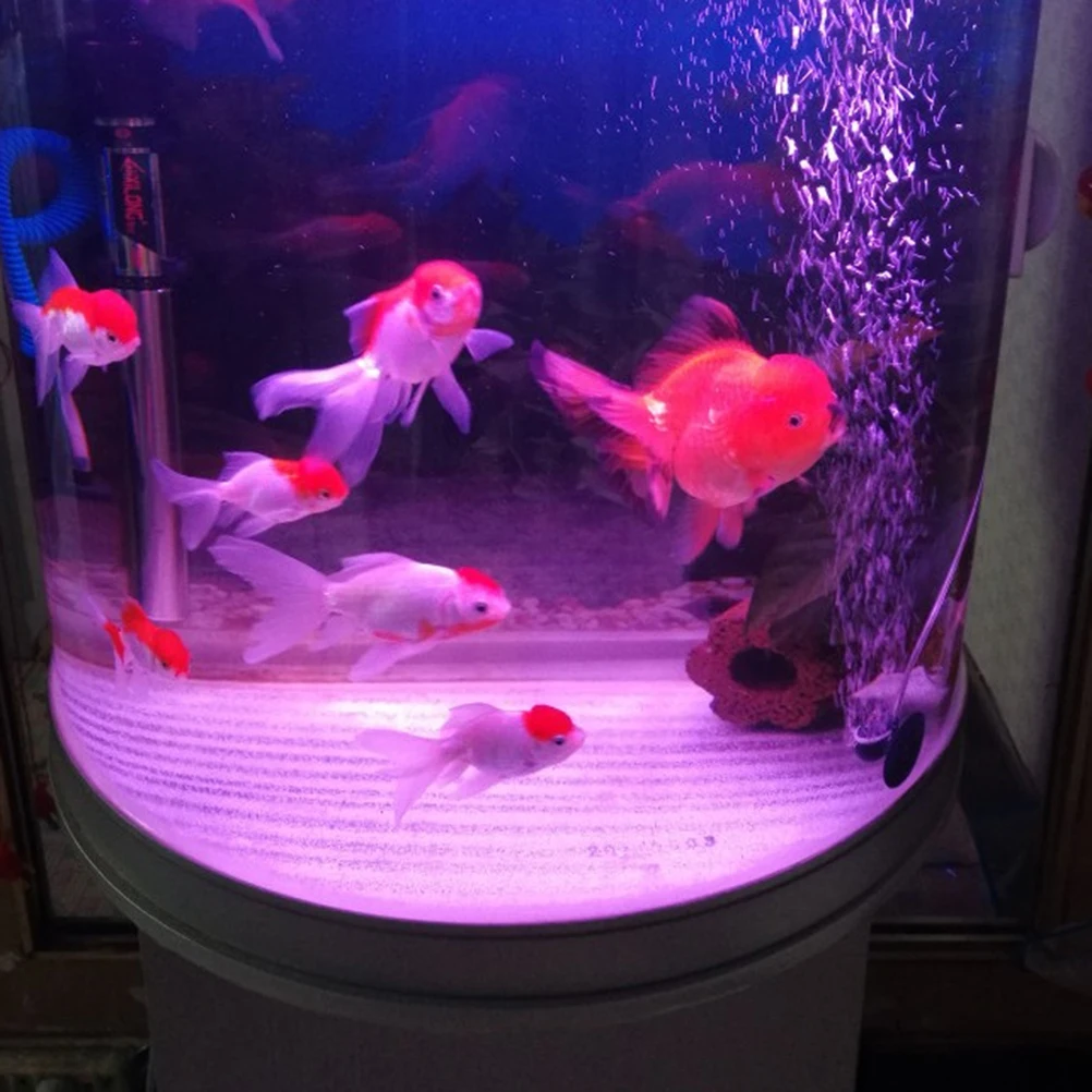 

2 Pcs Aerator Aquarium Stone Tiny Bubble Oxygen for Fish Tank Air Airstone Disc