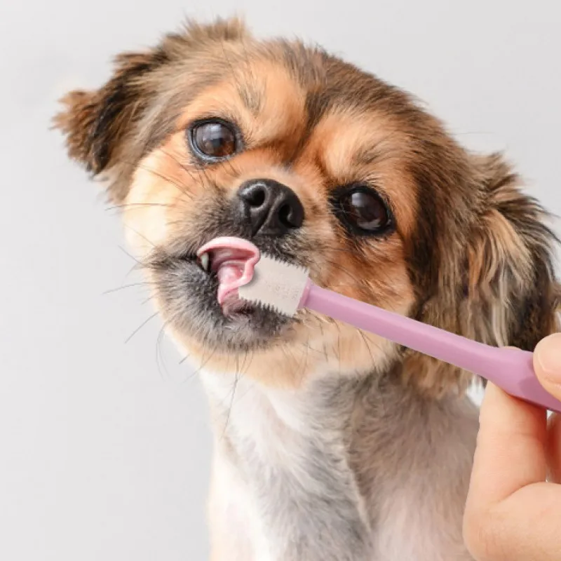 Juego de cepillos de dientes para mascotas, cepillo de dedo para el cuidado bucal, limpieza de dientes para perros, 360 grados, productos para gatos, 2 unidades