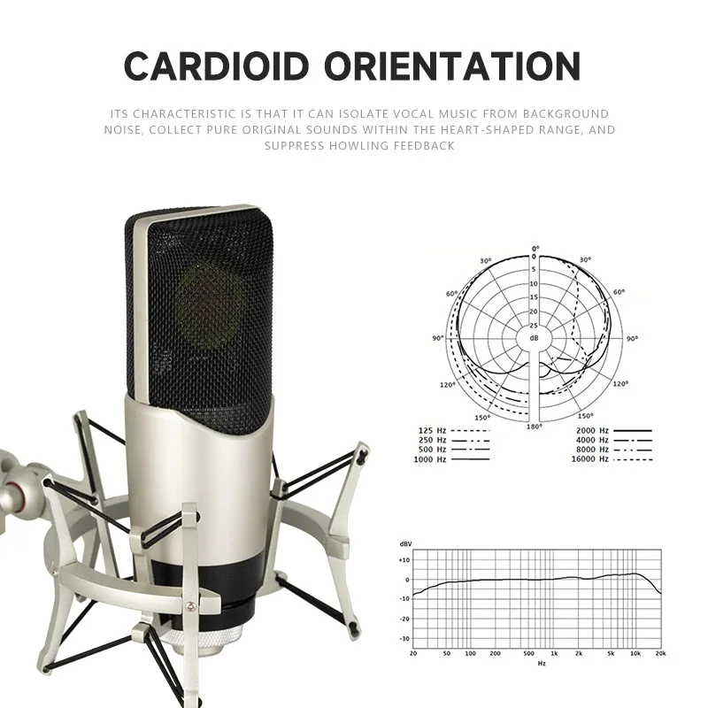 ميكروفون مكثف XLR 48 فولت مع كابل XLR 2 متر لتسجيل الاستوديو وبث البث للتدريس والمشروعات #5