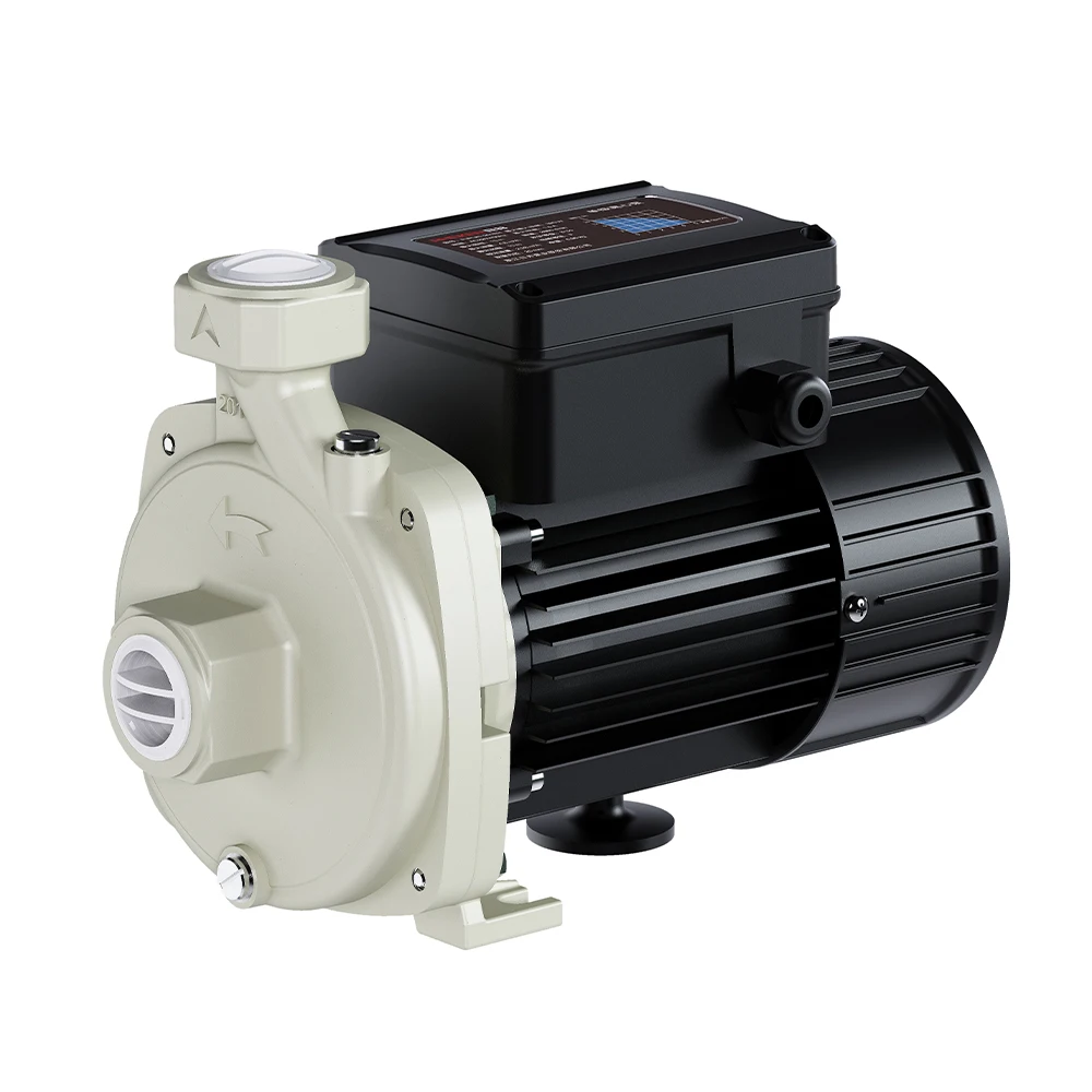 RHEKEN Horizontal Single-stage Centrifugal Electric Water Pump