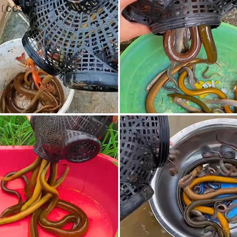 [-CC33」 6 ثقوب الصيد لوتش جراد البحر الأصفر ثعبان البحر قفص مختلط الأسماك جراد البحر الماسك في الهواء الطلق الصيد صافي قفص البلاستيك الروبيان فخ قفص #3