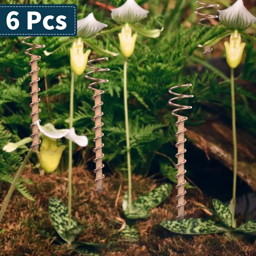 

6Pcs/Set 12-inch Electroculture Plant Stake Wood Rod Garden Plants Growing Electro Culture Copper Wire Coil Gardening Supplies