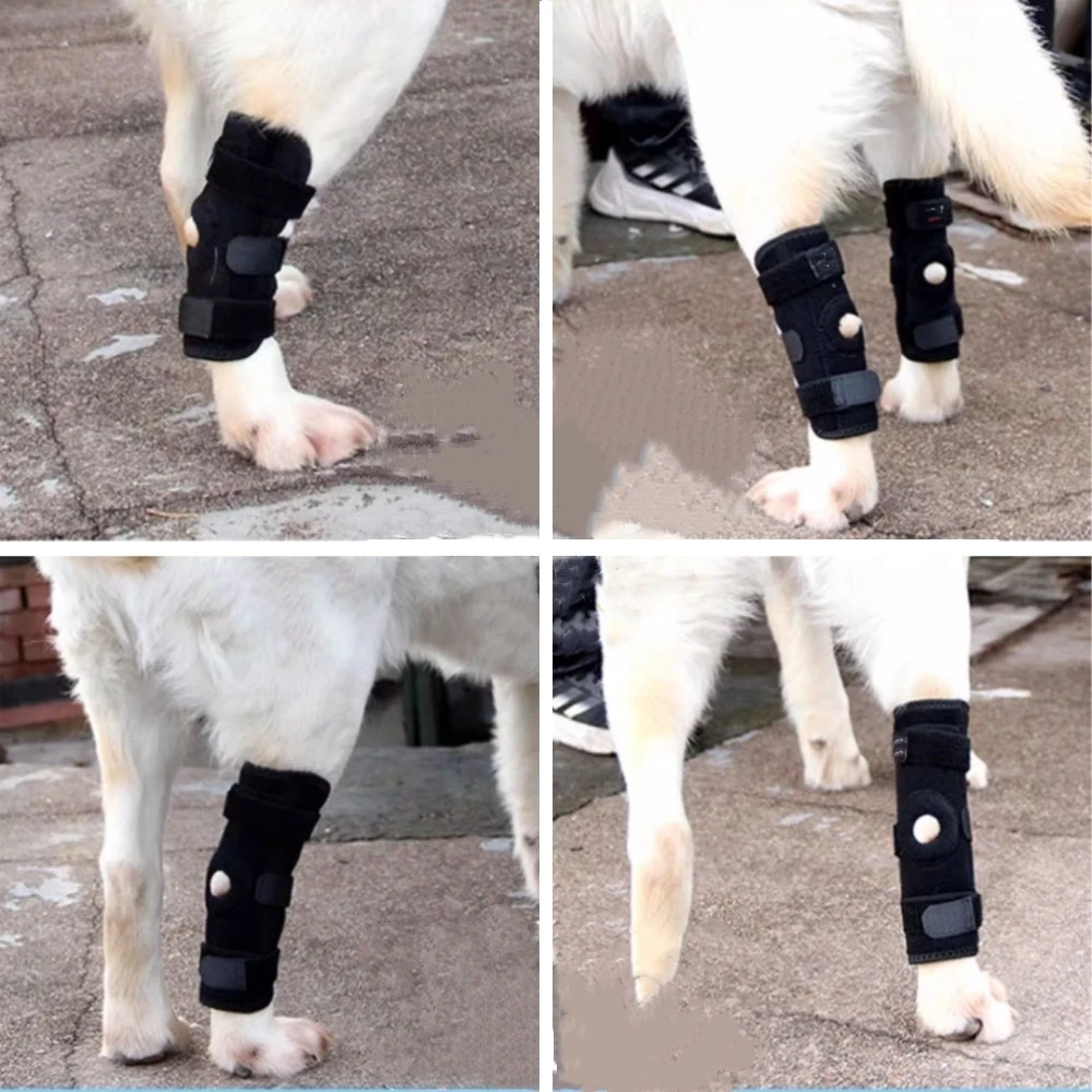 Dog Legging Post-Operation Sprain Dog Rear Leg Auxiliary Strap Protective Gear Protective Sleeve Knee Support Frame