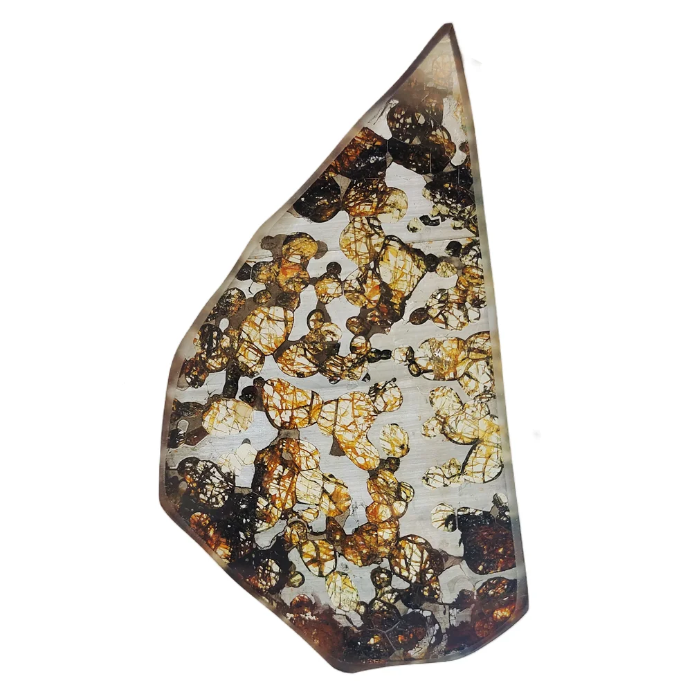 Olive Meteorite Specimen Brenham Olive Meteorite Section Natural Meteorite Material Specimen Collection