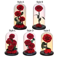 Rose Flower Gifts for Women Valentines Day Gifts for Him Valentines Decor Crafts Birthday Gifts Rose Flower in Glass Dome
